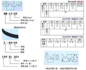 同步传动带-圆弧形齿